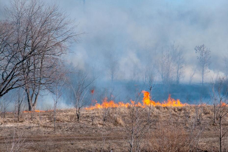    Svetlana Vozmilova/Global Look Press