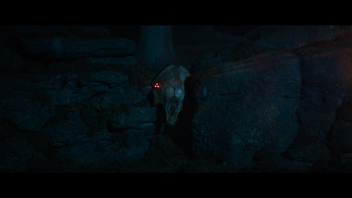 Кадр из фильма Добыча (2022)