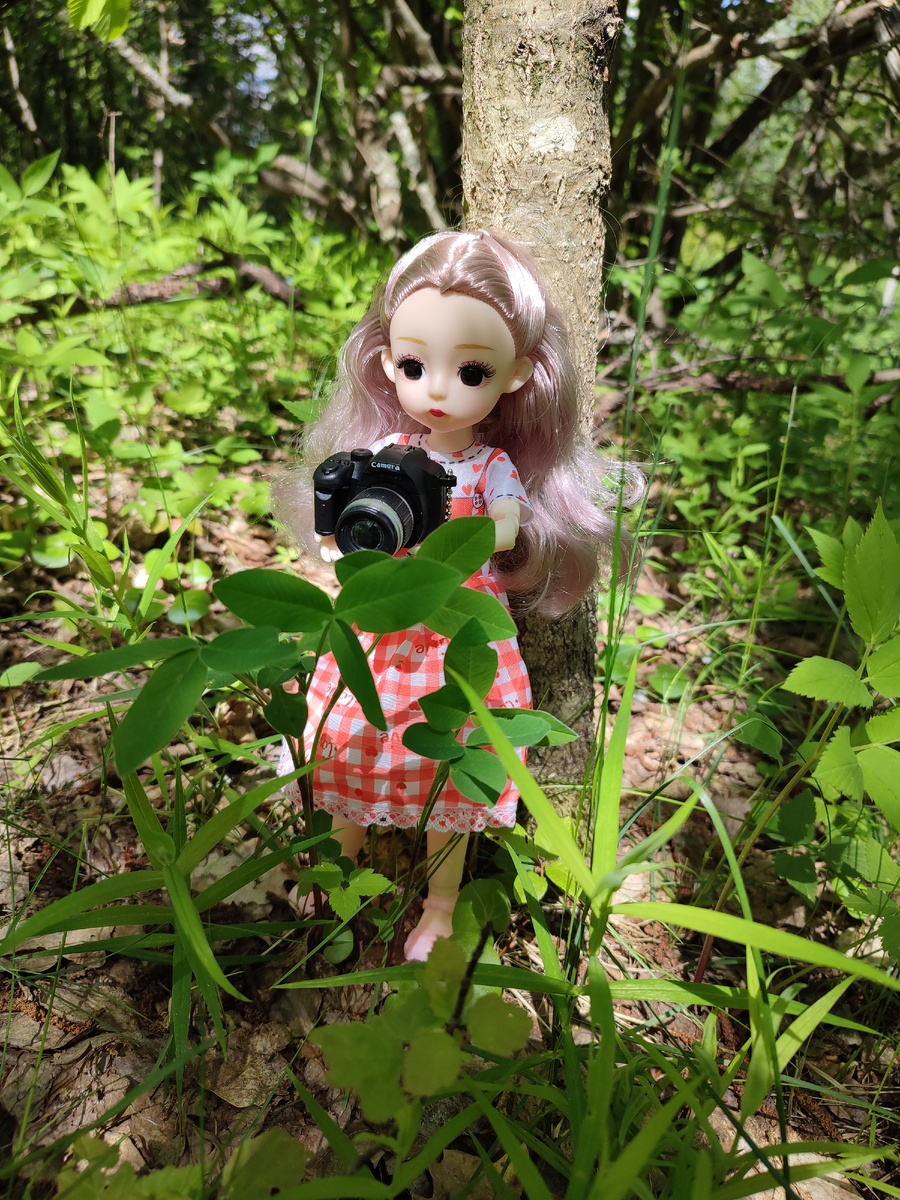 Пирожочек фоткает листочки. 