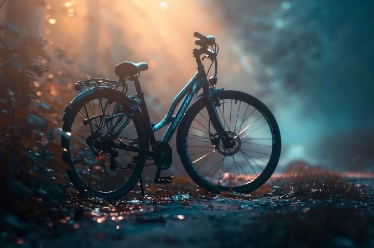    Дерзкую кражу велосипеда совершила женщина у елизовского ТЦ