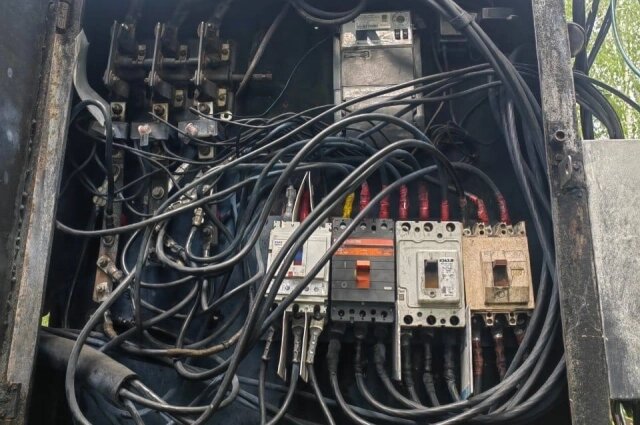    Фото: Предоставлено героем публикации "АиФ-Новосибирск"