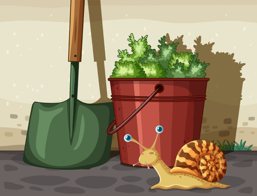    Фото freepik.com