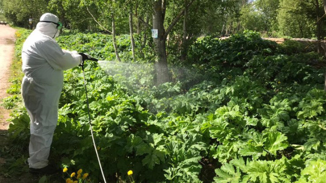 Фото: Пресс-служба правительства Ленинградской области