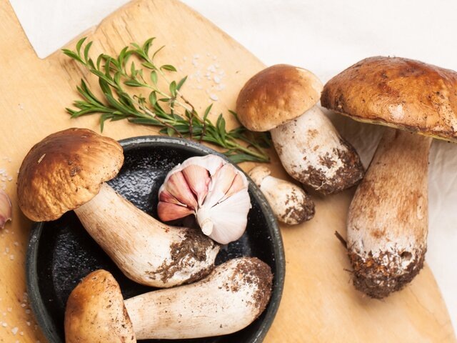    Фото: 123RF/larryratt