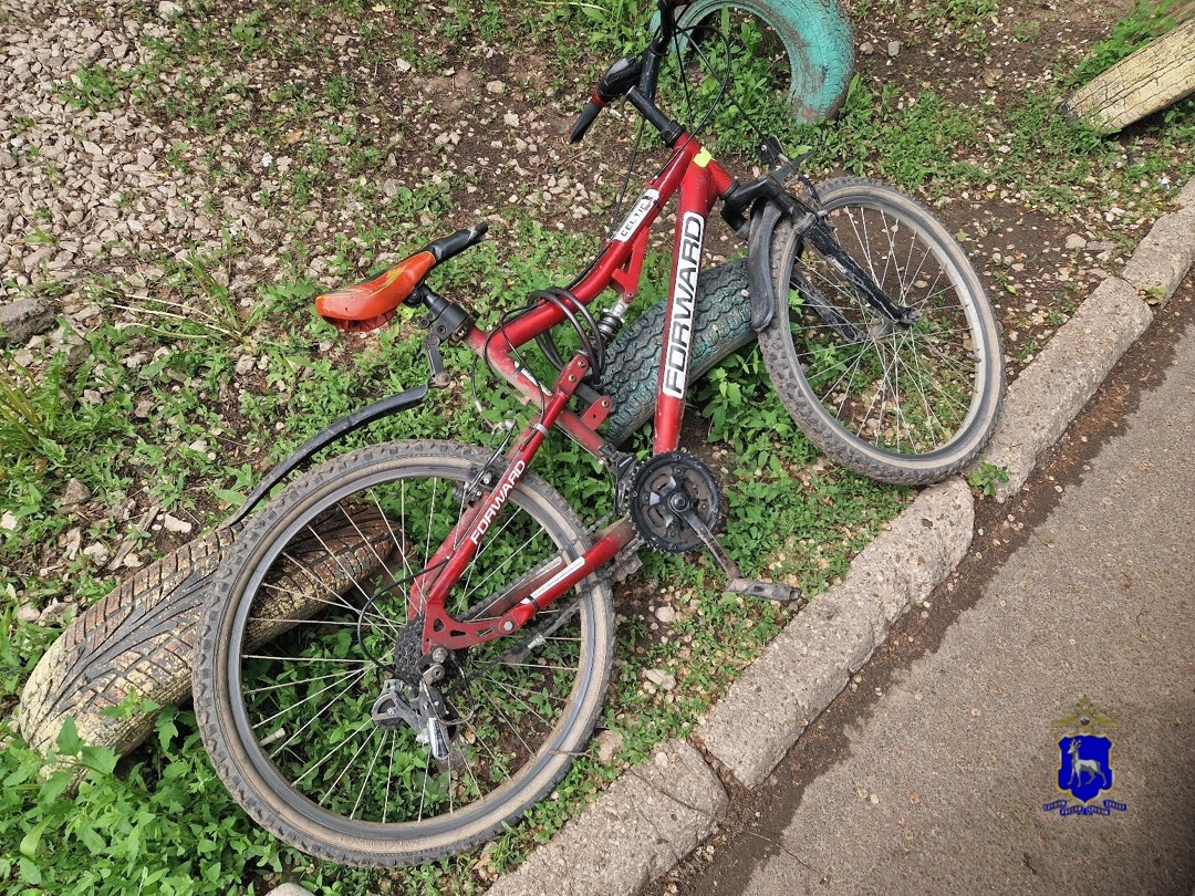    Фото ГУ МВД по Самарской области