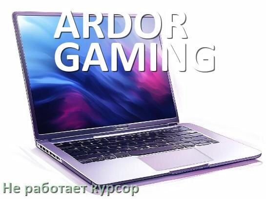 
Что делать если на ноутбуке ARDOR GAMING пропал и не работает курсор мыши