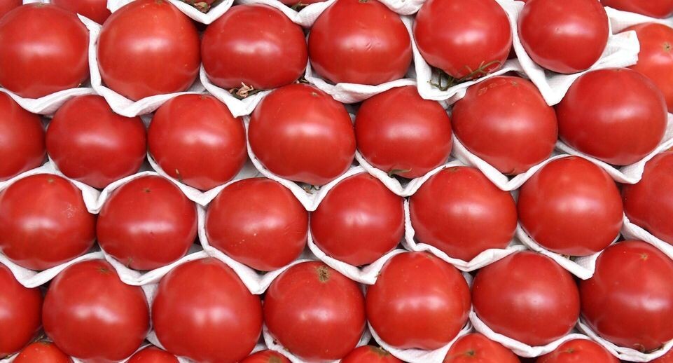    РИА «Новости»