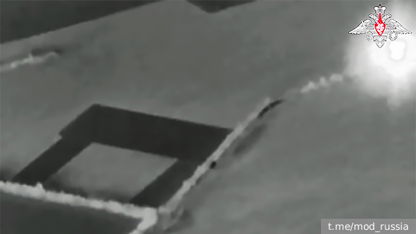     Фото: t.me/mod_russia   
 Текст: Вера Басилая