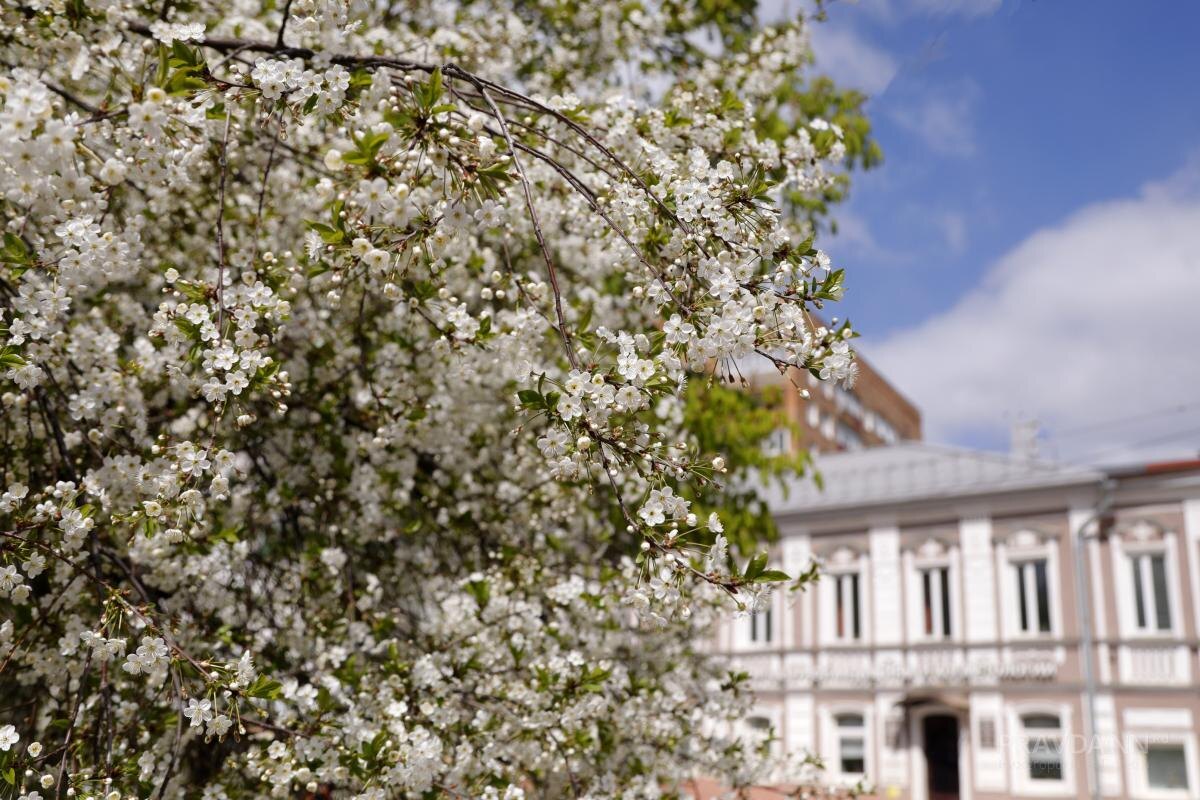    Апрель недолго радовал нижегородцев теплом