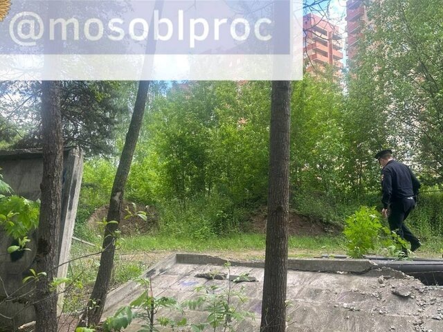    Фото: телеграм-канал "Прокуратура Московской области"
