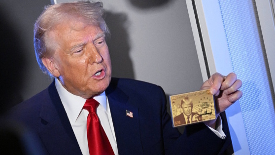    Программа "золотых карт" в США заработает в ближайшие дни © MANDEL NGAN / AFP / EastNews