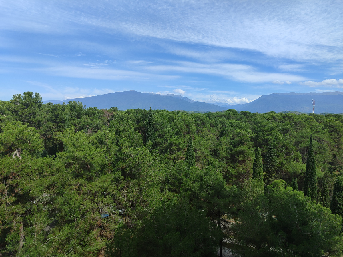 Вид с лоджии