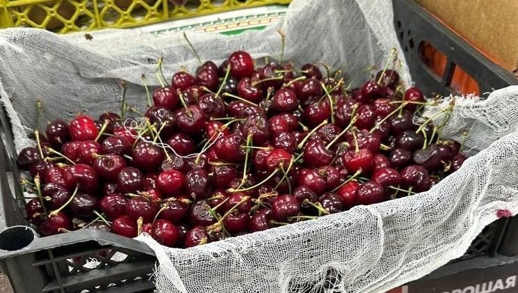     Источник: prmira.ru