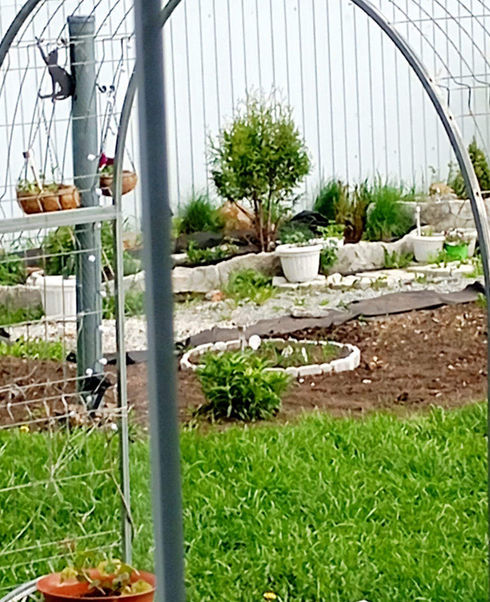 Смотрю в окошко, дождь и у доски тоже встала работа на участке.