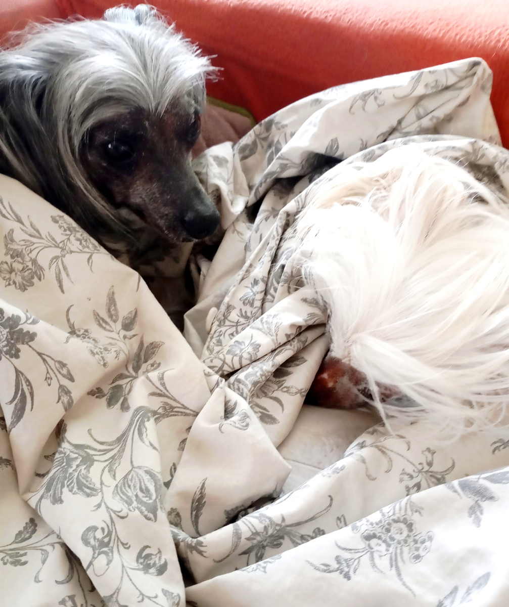 Мишелька спряталась, зато рядом Тося и я, и не та ей страшно