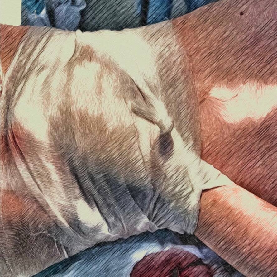    Иллюстрация: Красноярская краевая клиническая больница