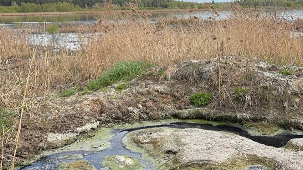 Фото: Росприроднадзор