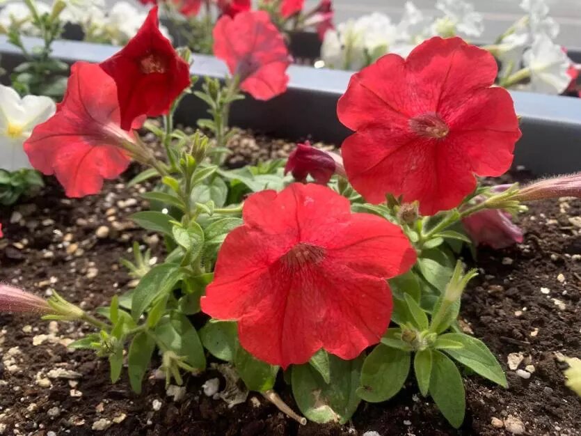 Фото: Арина Будзиевская