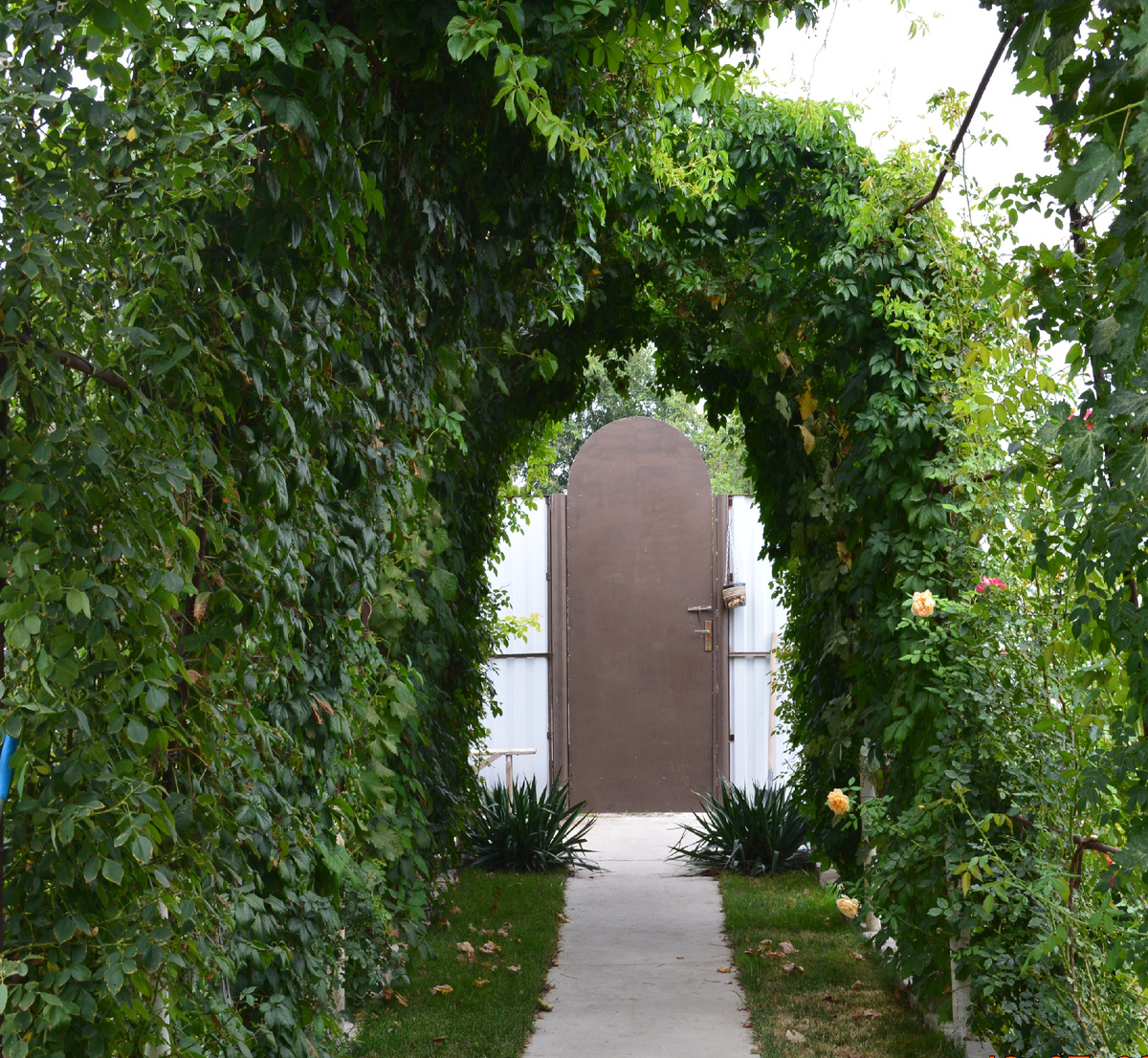 Как-то так это выглядело. Старое фото. 