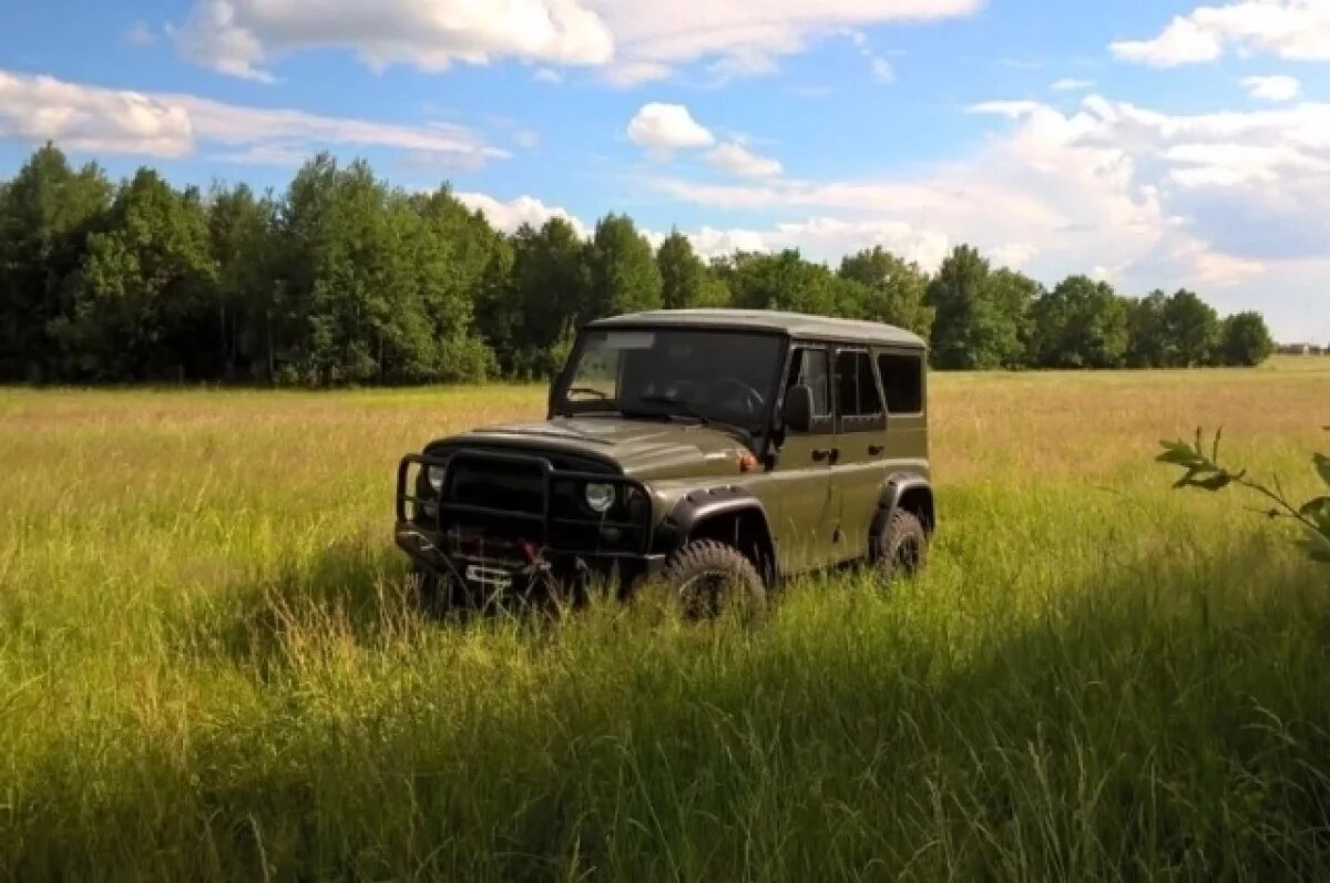    В Калужской области реализуют программу по развитию лесного хозяйства