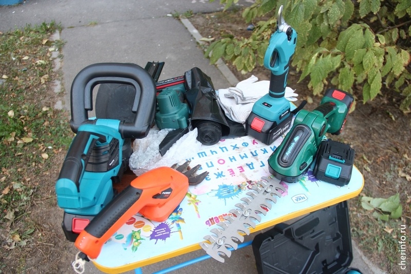    В конце апреля в полицию поступило сразу два заявления от владельцев дач в садоводческом товариществе "Аммофос-2".