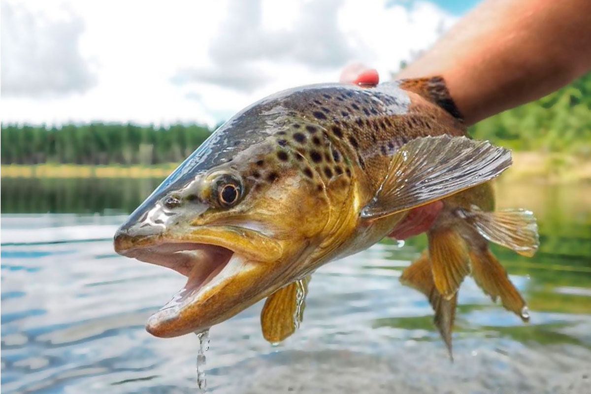    Фото: Fishingby.com