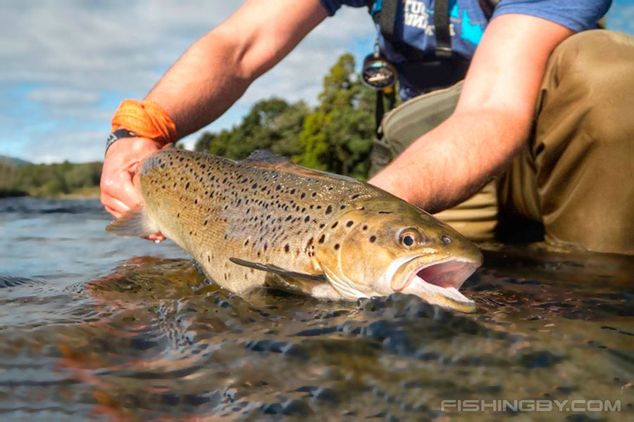    Фото: Fishingby.com