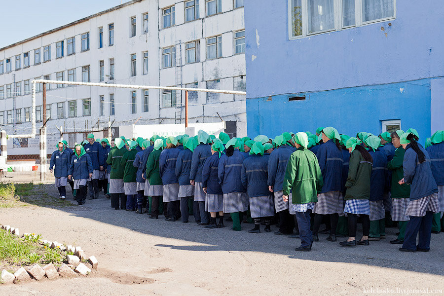 Фото носит иллюстративный характер: открытые источники