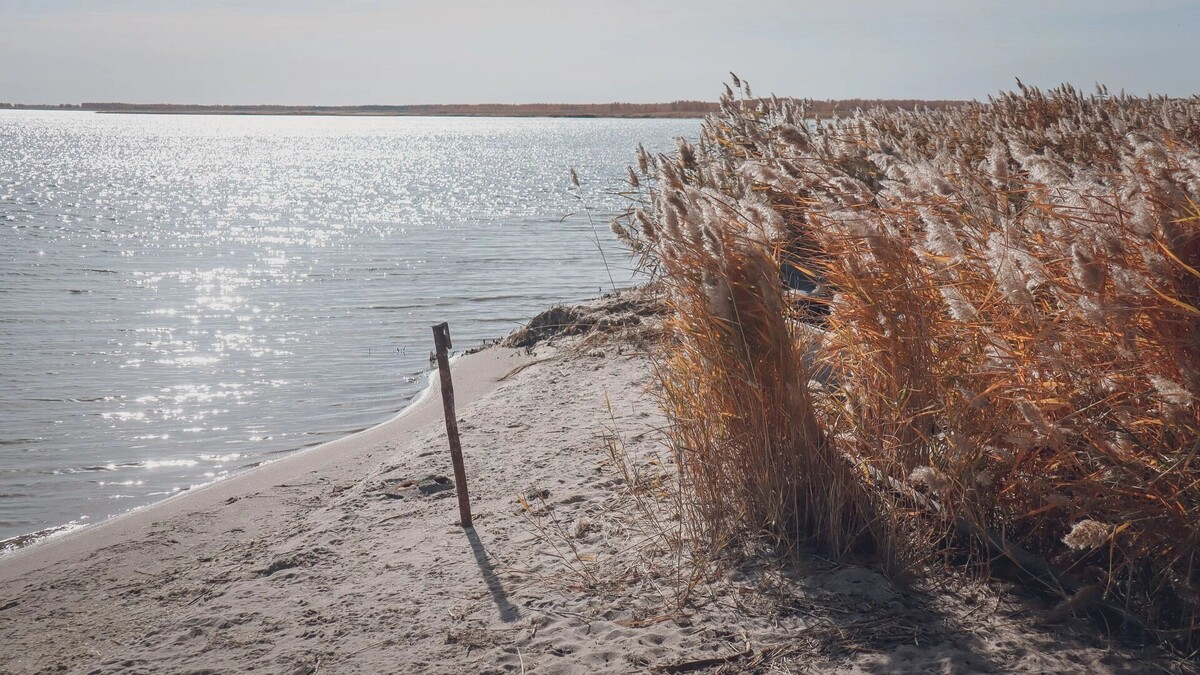     Источник: 1MI