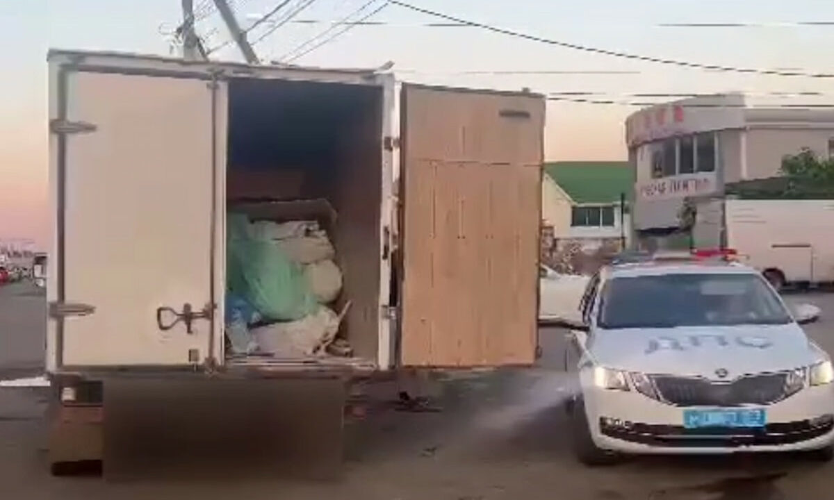    Фото t.me/mvd23krasnodar