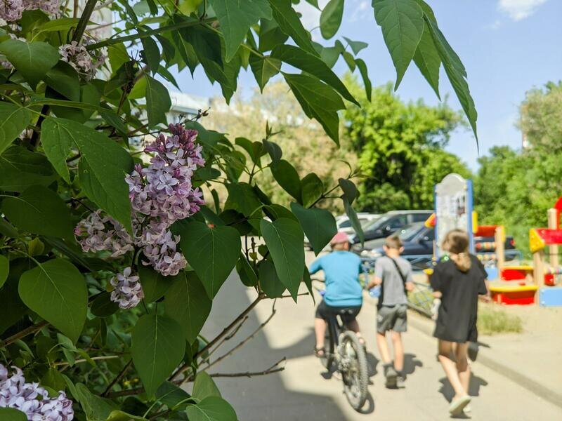 Листайте вправо, чтобы увидеть больше изображений