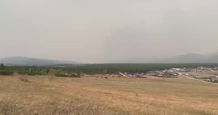    Фото: Telegram-канал Волонтёры Смоленки