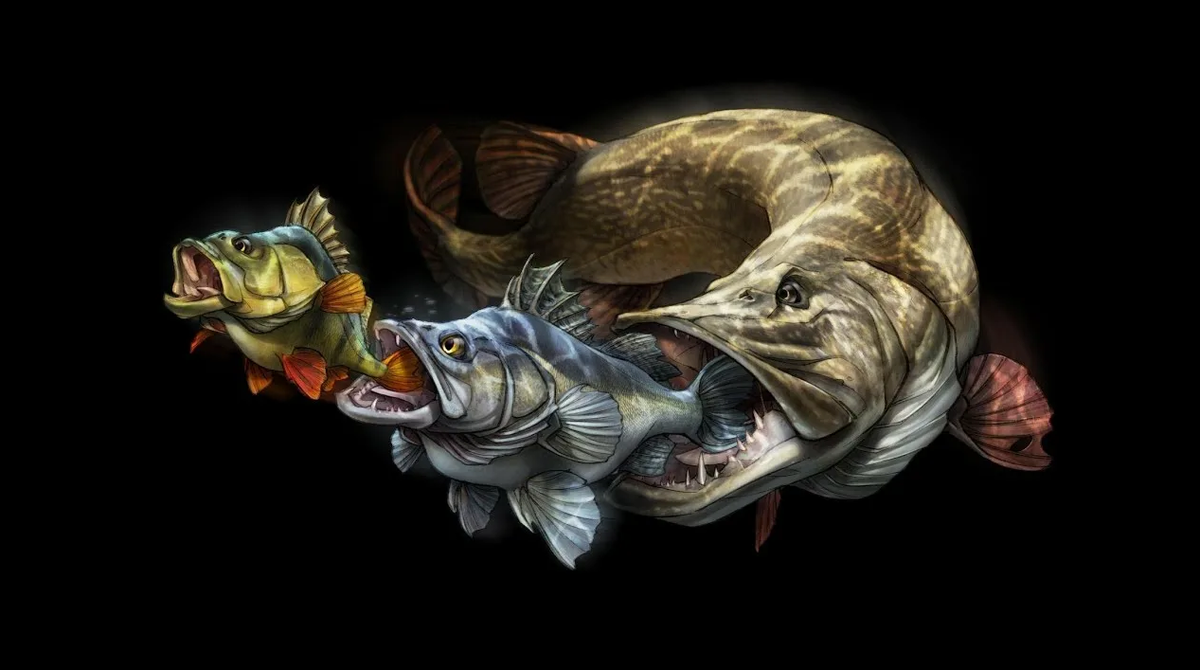 Ключевые слова: где ловить щуку, перспективные места, щучьи места