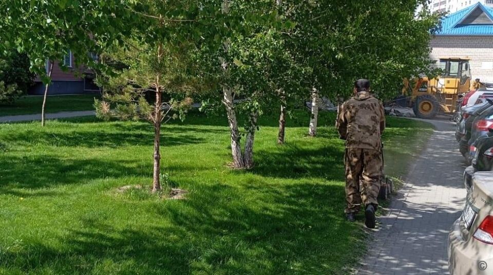    Покос травы в Барнауле. Источник: barnaul.org