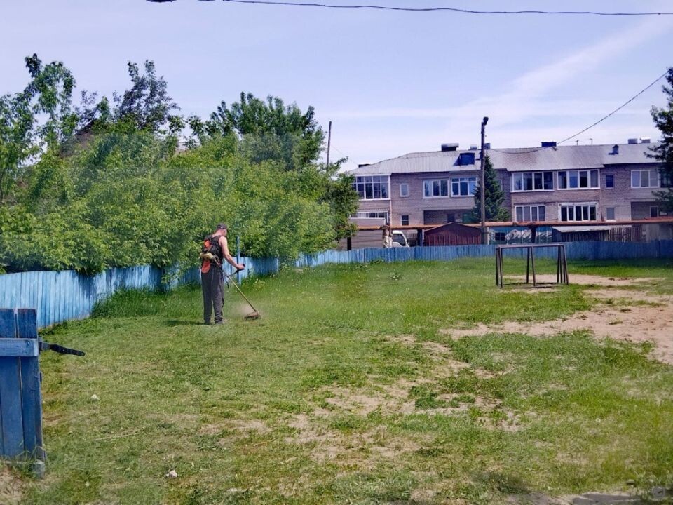    Покос травы в Барнауле. Источник: barnaul.org