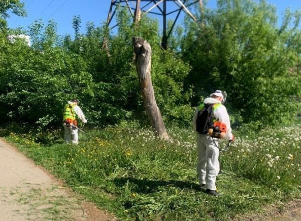    Покос травы в Барнауле. Источник: barnaul.org