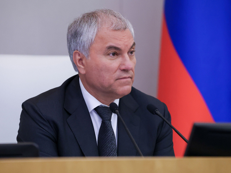     Фото: duma.gov.ru