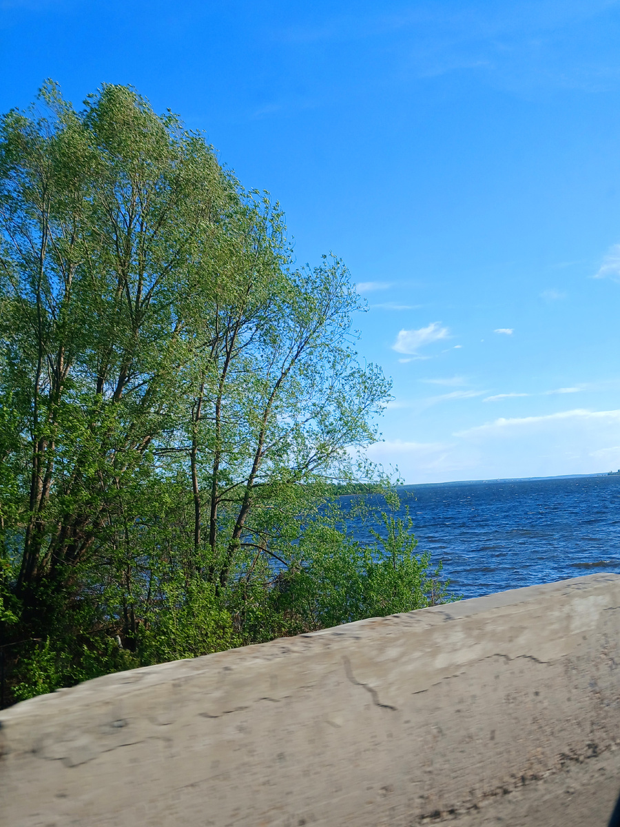 "Доброе утро, мир! Ты прекрасен!" Фото автора