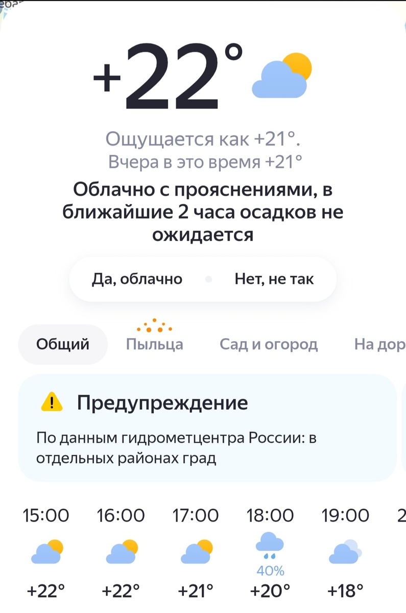 На улице почти лето. Скрин приложения