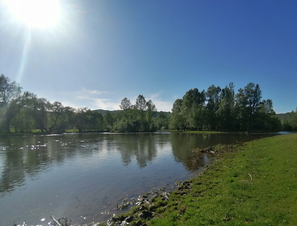 Например, такой.