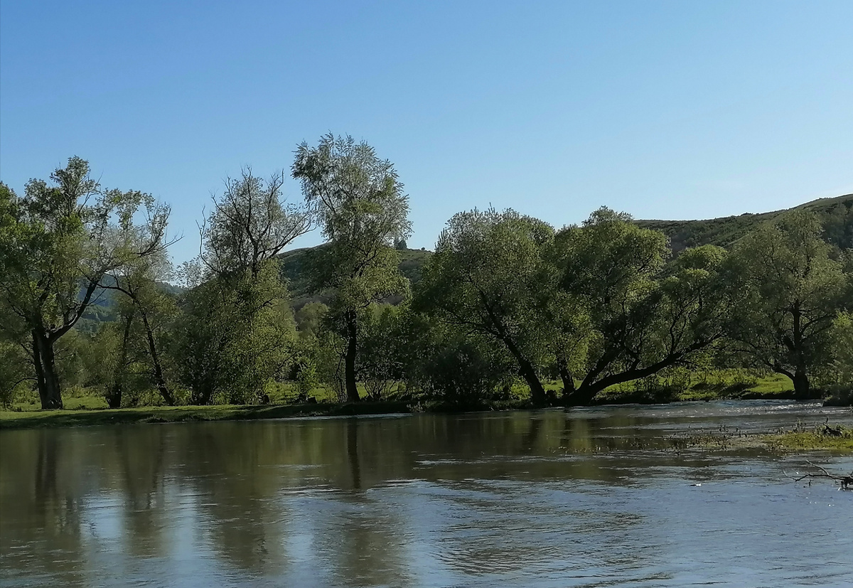 Речка так и манит, но ещё очень холодная.