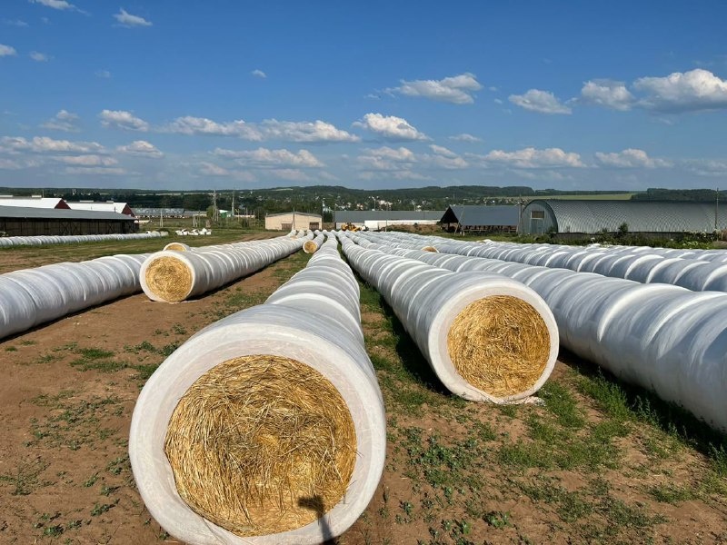 «Технология КРМЗ: сенаж в линию»