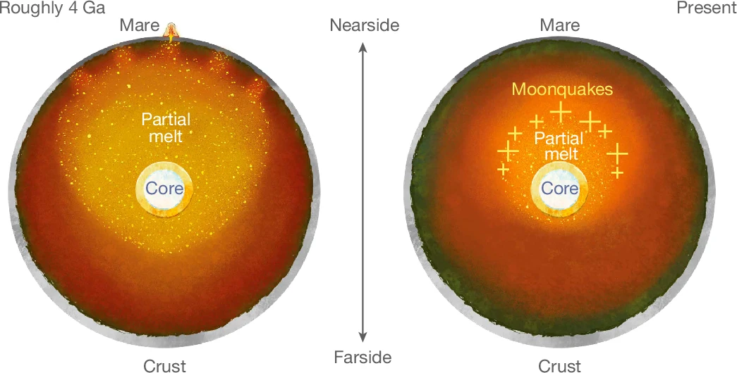   R. S. Park et al. / Nature, 2025