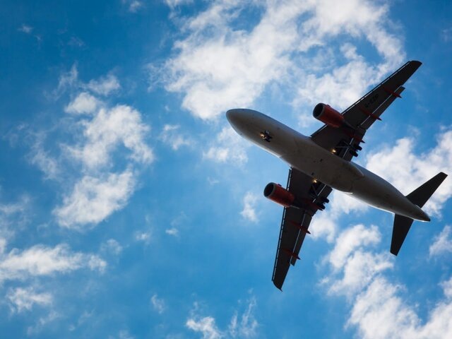    Фото: 123RF/lightpoet