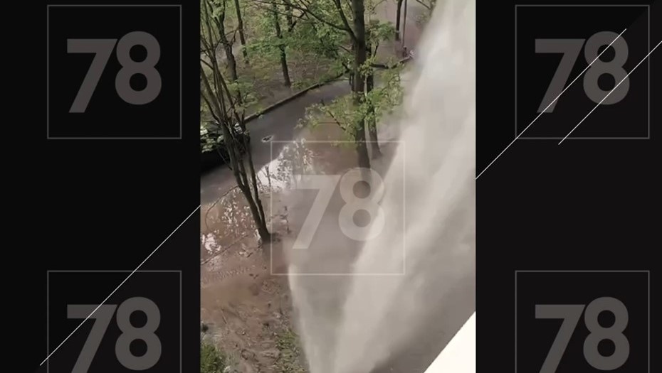    Автор фото: скриншот 78.ru