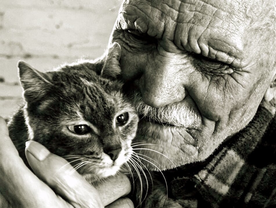 Вот и встретились два одиночества... Фото из открытого доступа в Интернете.