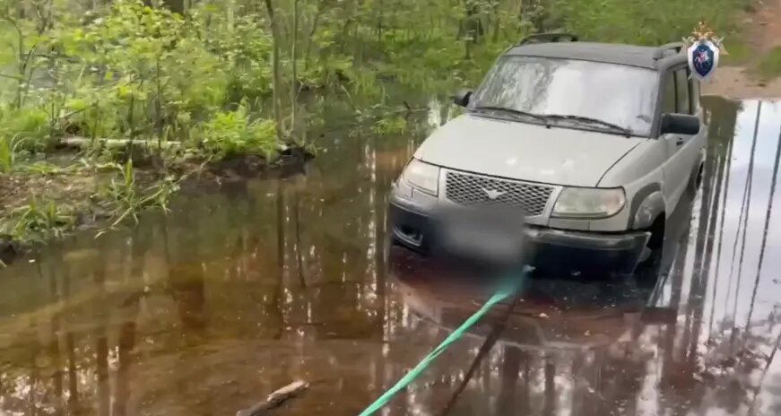    Фото: скриншот видео ГУ СК РФ по Нижегородской области