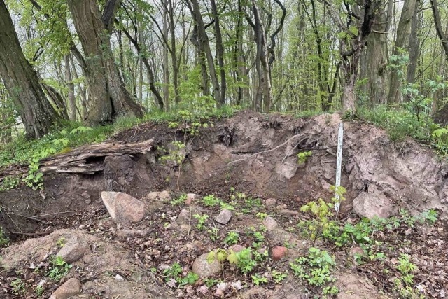   Фото: региональная служба охраны ОКН, «ВКонтакте»