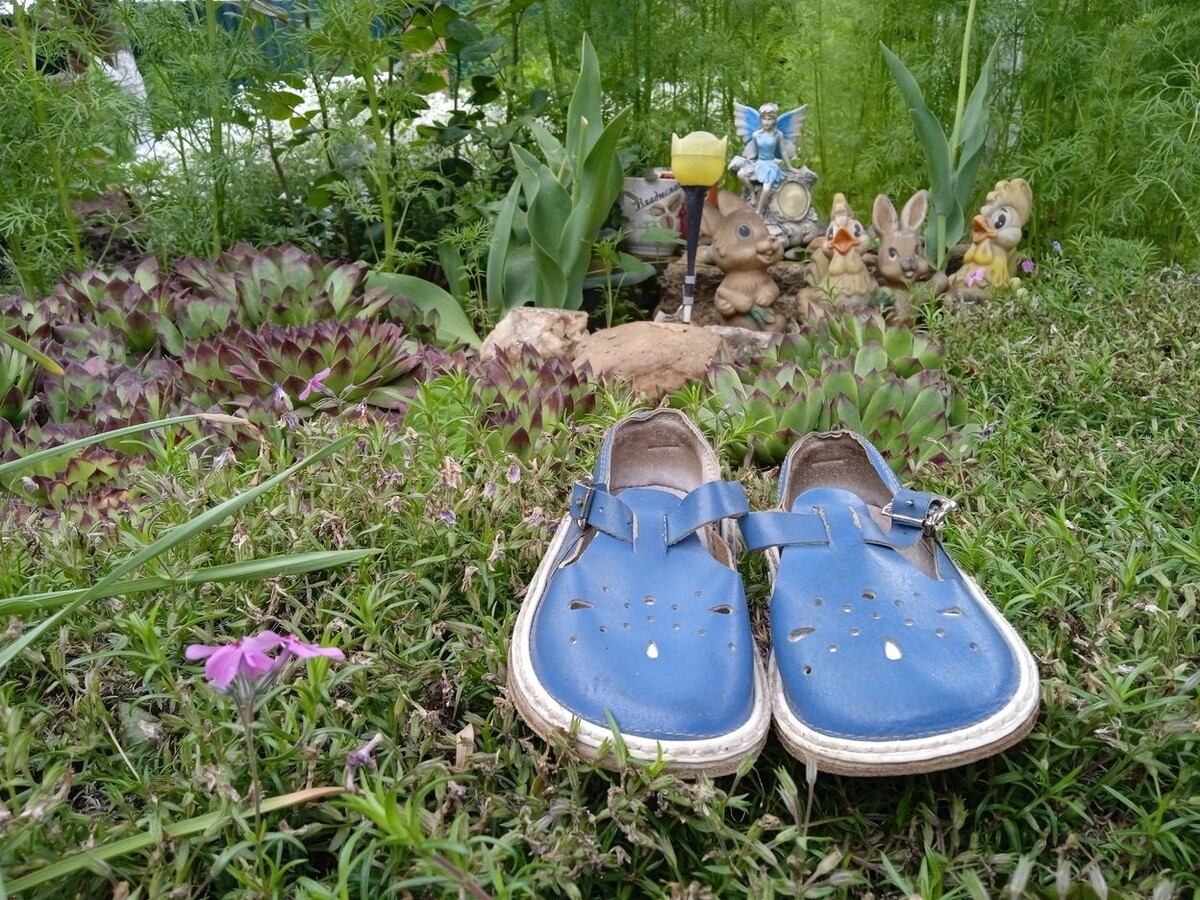 Собственное фото автора от 21 мая 2025 г. Сандалии сына. Фото в цветнике.