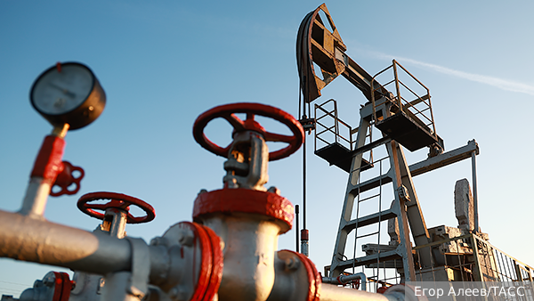     Фото: Егор Алеев/ТАСС   
 Текст: Ольга Самофалова